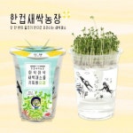 화분재배KIT 한컵새싹농장 유채 키우기 : 영농조합법인 에듀팜