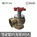 학교 소화전 소화용수 배관연결용 청동 앵글밸브 65A 아파트보일러실 세탁소 빌딩 : 고빅고홈