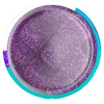 비타퓨전 Brain Food 구미 젤리 50개 포스파티딜세린 블루베리맛 아슈와간다 포함 : lemonelle