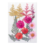 레진아트/만들기재료/프레스플라워(압화)세트 XM11 : 하비스토리