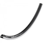 DT Swiss RR 411 림 - 대칭 : 허니스톤