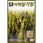 다농 이백찰기장 씨앗 30g 찰기장 씨 오곡밥 잡곡 곡물 종자 : 씨앗농장몰