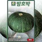 다농 밤호박 씨앗 30립 단호박 씨 종자 : 씨앗농장몰