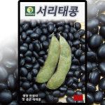 다농 서리태콩 씨앗 30g 서리태 씨 재래종 검은 콩 종자 : 씨앗농장몰