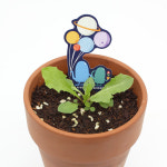 새싹키우기 관찰학습 우주여행 민들레 씨앗카드 : 히키스