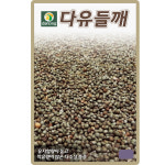 다농 다유 들깨 씨앗 20g 국산 씨 들깨 국산 기름용 종자 : 씨앗농장몰