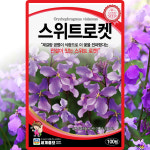 세계종묘 스위트로켓 씨앗 100립 보라유채 씨 소래풀 꽃 종자 : 씨앗농장몰