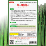 다농 아스파라거스 씨앗 200립 아스파라거스 씨 이색 종자 : 씨앗농장몰