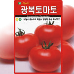 아람종묘 광복토마토 씨앗 100립 완숙 토마토 씨 종자 : 씨앗농장몰