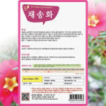 다농 채송화 씨앗 1g 채송화 씨 야생화 꽃 종자 : 씨앗농장몰