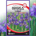 세계종묘 아이리스 씨앗 2g 타래붓꽃 씨앗 씨 붓꽃 종자 : 씨앗농장몰