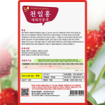다농 천일홍 대화선홍색 씨앗 100립 천일홍 씨 절화용 건조화 야생화 꽃 종자 : 씨앗농장몰