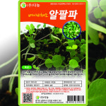 다농 베이비 알팔파 씨앗 10g 베이비알팔파 씨 어린잎 종자 : 씨앗농장몰