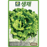 다농 생채 씨앗 2000립 양상추 씨 쌈 채소 샐러드 종자 : 씨앗농장몰