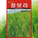 아람종묘 청보리 씨앗 20g 청맥 풋보리 씨 녹비 사료 작물 종자 : 씨앗농장몰