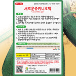 다농 새로운 쥬키니애호박 씨앗 30립 애호박 씨 조생종 종자 : 씨앗농장몰