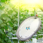 퓨쳐그린 식물등 원형투광 식물생상 조명 100W 200W 하이파워 : 주식회사 안트