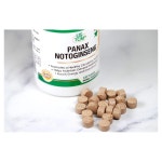 USTCM 전칠삼 삼칠 추출물 120캡슐 Panax Notoginseng : lemonelle