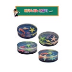 4인세트 중등 과학교구 상상력발달 바닷속 비누만들기 창의융합 사이언스 : 뚝딱 마켓