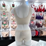 [엘르이너웨어](신세계 의정부점)24년 SS 모던 서포트 여성 스포츠 브래지어 세트 (EDWBR143,EDWBP143LSK) : 신세계백화점