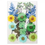 레진아트/만들기재료/프레스플라워(압화)세트 XM08 : 하비스토리