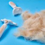 펫스츄리 강아지빗 고양이빗 원터치 죽은털제거브러쉬 S : 펫스츄리