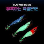 [갤러리아] 삐까뻔쩍 부리부리 왕눈이에기 쭈꾸미낚시채비 바다 : 갤러리아백화점