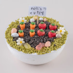 [카페노리] [만들기세트] 텃밭 케이크 - 포장까지 완벽구성 : 주식회사 카페노리