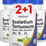 [2+1] 뉴트리코스트 세이브리트리 칸나 Sceletium Tortuosum 25mg 60정 : 웰스히어로