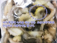 보성녹차담은 낙지 500g 풀스키즈 냉동 : 식재온