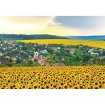 1000피스 직소퍼즐 - 해바라기 마을 : 퍼즐사랑