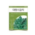 셀프채소 텃밭 대원 시금치씨 종자 모종만들기 농장 : 꾸미는공간