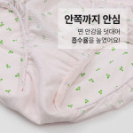 [삐삐롱]쁘띠펫 여 에어로쿨 삼각 팬티 기계건조 가능 : PPIPPILONG