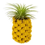 초등 4월 만들기 봄 마크라메 이오난사 화분 식목일 1P 유치원 노인 방과후수업 : 카빌