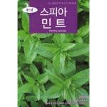 2024 씨앗 허브 스피아민트 : 트루 스토리