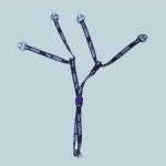 쎄다 스타일 턱끈 성안세이브 : 주식회사 설총