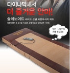 웰빙 온열안마매트 두타매트 신제품 V-3015(병원용) 안마기 전신마사지매트 : 더죤 웰빙두타매트