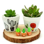 초등 반려식물키우기 다육이심기 그리기화분 (2인세트) DIY만들기 유치원 : 모아마켓77