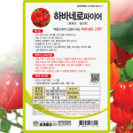 하바네로 고추 씨앗 10립 하바네로파이어 매운 청양고추 씨 종자 : 씨앗농장몰