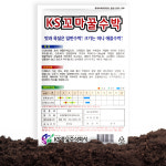 꼬마꿀 애플수박 씨앗 10립 꼬마꿀 미니 애플 수박씨 종자 2개+끈끈이1p : 양동씨앗마켓