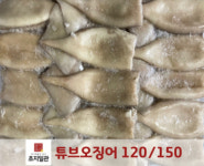 [초심푸드] 튜브오징어 10kg X 1박스 : 유한회사 초지일관
