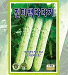 오이 진미백다다기 10립 과채류 토종채소 열매채소 샐러드용 야생나물 주말농장 : 사이버가든
