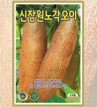 오이 장원노각오이 50립 주말농장 과채류 옥상텃밭 민속채소 엽채소 : 사이버가든