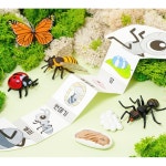 곤충 한살이 성장 북아트 (피규어포함) 놀이세트 유치원 용 diy : 두치와 모모초록마켓