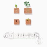 식물 한살이 성장 북아트 (피규어 포함) 교육기관 공작 만들기 용 : 두치와 모모마켓