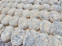 진짜 진한 쑥찰떡 2kg 20개입 개별포장, 아침대용, 아침에 줄서는 부산 동래 떡집 : 금정떡방앗간