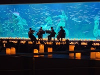 [아쿠아리움 단독대관 예약금] 기업 연회 국제 행사, 공연, 촬영, 잔치 : 아쿠아티움 대전엑스포아쿠아