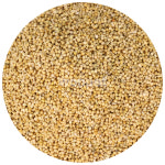 건강알곡 겉조 500g 앵무새 햄스터 모이 사료 간식 : 올펫몰