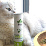 캣포레스트 고양이 캣닙 지관통 12g 장난감 쿠션 캣닢 인형 : 휴 라이프