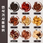 초미세 분말기 초미세분쇄기 한약재 약국제분 식재료 800g  순수 구리 모터 800g  순수 구리 모터 : 모다mall3